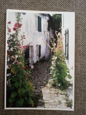 CPSM CPM ÎLE DE RÉ LA COUARDE SUR MER VEELLE AUX FLEURS