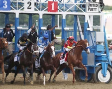 Justify 2018 Belmont Stakes Gate Photo 8" x 10 - 24" x 30" 