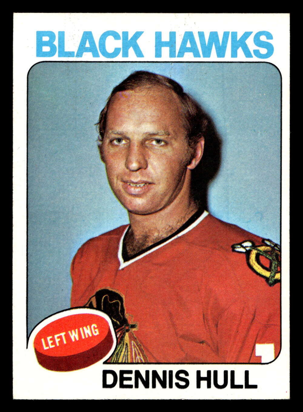 1975-76 Topps #254 Dennis Hull Near Mint