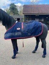 Weatherbeeta adjustable foal