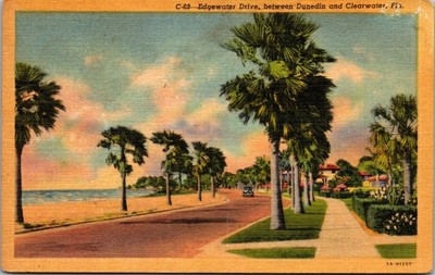 Edgewater Drive Between Dunedin & Clearwater FL Vintage Linen Postcard B88