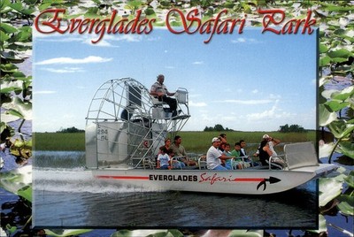 Miami,FL Everglades Safari Park Florida Airboat Boat Ride Postcard