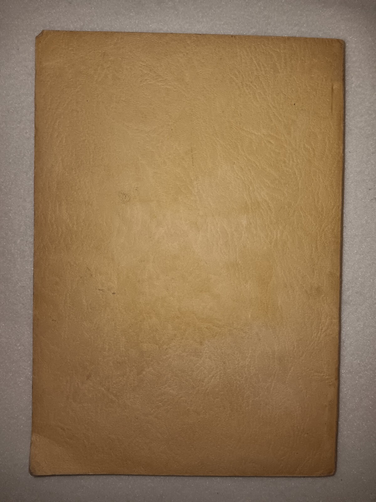 Picture 2 of 16
