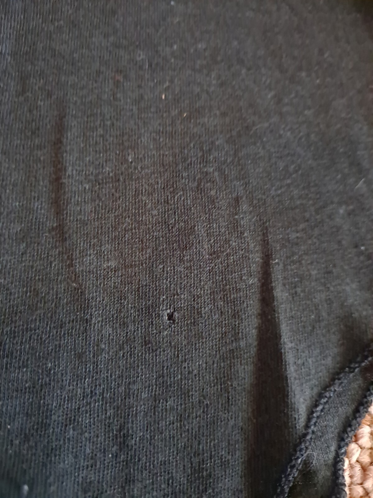 Picture 5 of 6