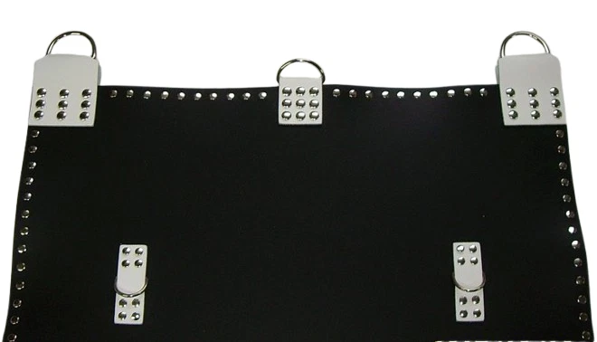 Designer Ledersling Hängematte Schaukel Rundbogen + Zubehör verschiedene Farben - Bild 3 von 4