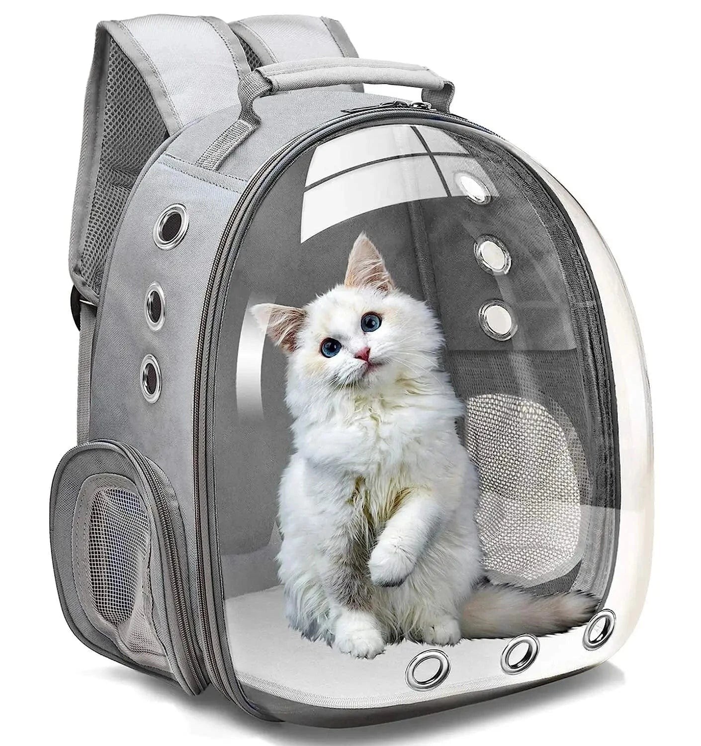 Sac à dos capsule pour animaux : fini le stress du transport de votre chat