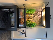 Exo Terra Glass Natural Terrarium - Mini/Tall, Clear (PT2602A1)