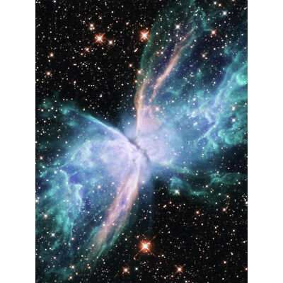 Hubble Weltraumteleskop Bild NGC 6302 Schmetterlingsnebel Wandbild Leinwand 18x24