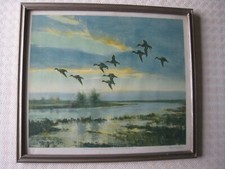 SIR PETER SCOTT-  A Signed ltd edition print- “ TEAL IN THE EARLY MORNING" 1943: