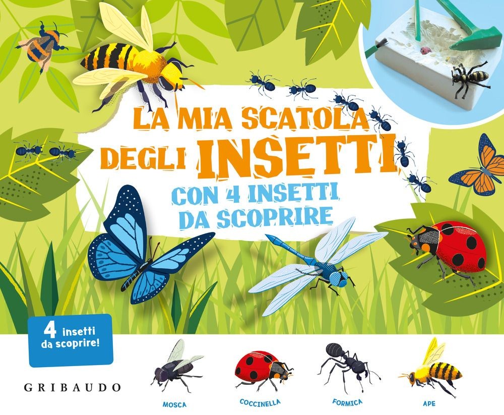 Libri Mia Scatola Degli Insetti Con 4 Insetti Da Scoprire. Ediz. Illustrata. Con