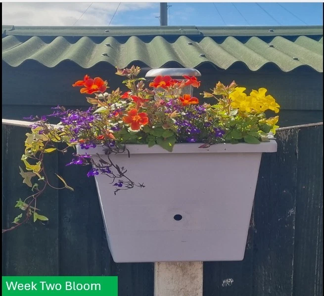 Unique unusual 4 in 1 Solar Grey Self Watering Weeks of water Hanging Planter - Image 4 of 4