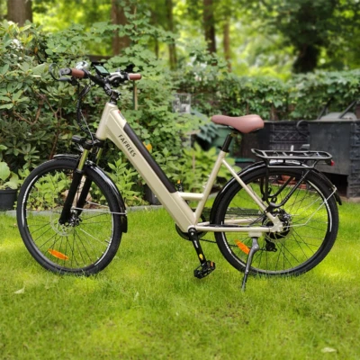 FAFREES 26 Zoll Elektrofahrrad E Mountainbike 250W Moped E Bike E-Fahrrad Pedelec 25km/h