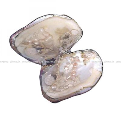 25 Pearls Akoya Oysters Wrapped w/ Natural Pearl Cultured Round - Main Image