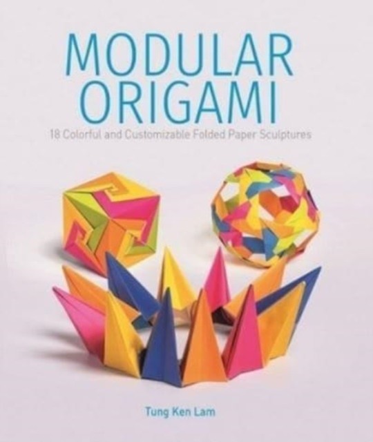 Modular Origami by Tung Ken Lam Paperback NEW - Image 3