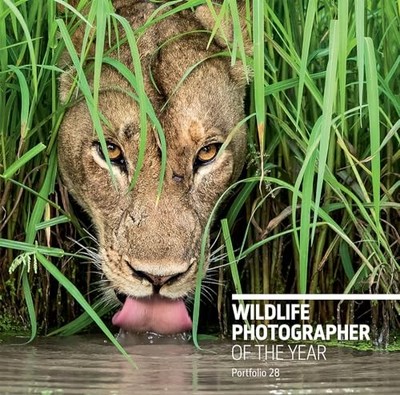 Wildlife Photographer of the Year: Po by Rosamund Kidman Cox (Editor) 0565094289