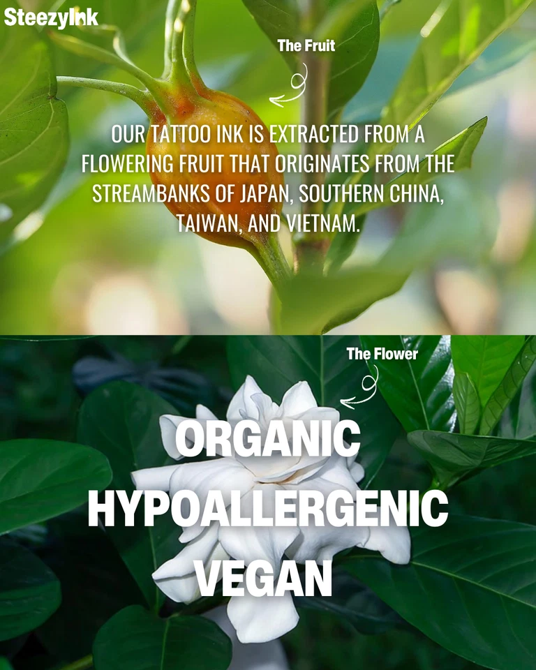 Tatuaje temporal SteezyInk Libélula Danza dura hasta 2 semanas 3 x 6 pulgadas Foto 2 de 4