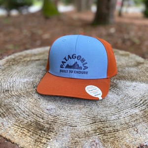 patagonia geologers roger that hat