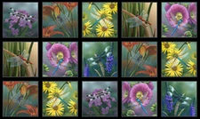 3 Yards Cotton Fabric - Elizabeth Studio Dragonfly Magic Squares Black