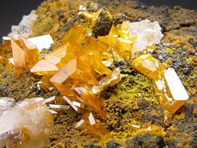 Wulfenite San Carlos Mine Municipal de Manuel Benavides Chihuahua Mexico
