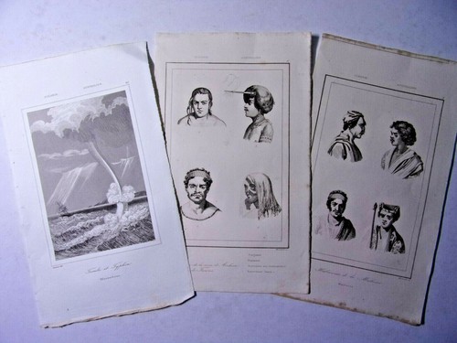 1840. Australie. Lot of 14 engravings. - Picture 2 of 8