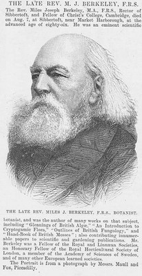 REV MILES JOSEPH BERKELEY Botaniker - antiker Druck 1889