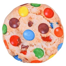 12.75" COOKIE PILLOW PLUSH TOY STUFFED NEW Fun Room Decor Gifts Prizes