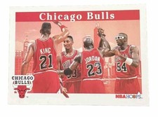 Chicago Bulls Team 92-93 Michael Jordan Card #269 NBA Hoops SkyBox
