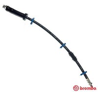 Brembo Bremsschlauch Links, Oben, Rechts, Vorderachse U.A. FüR CitroËN, Fiat