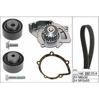 INA Zahnriemensatz + Wasserpumpe FüR PSA C5 C8 406 607 807 2.2 Hdi Ab 04.2004