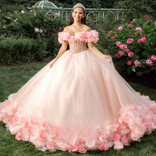 Fairytale Quinceanera Dresses for Girls Appliques Lace up Ball Gowns 15 Vestidos