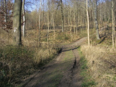 Photo 6x4 Chiltern Way Greenfield/SU7191 Chiltern Way in Greenfield Wood c2009