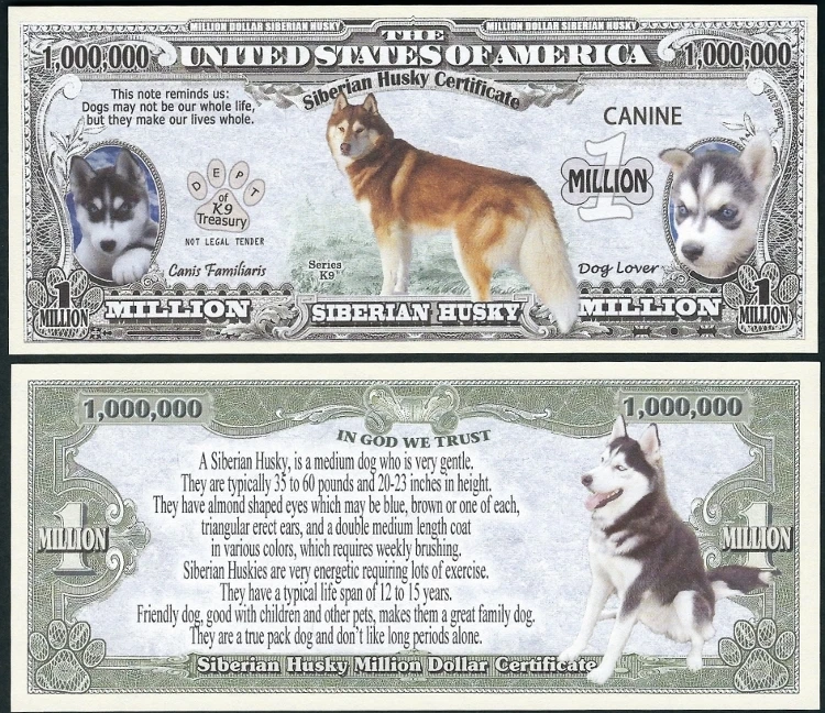 Siberian Husky Dog Certificate Million Dollar Bill Funny Money K + FREE SLEEVE