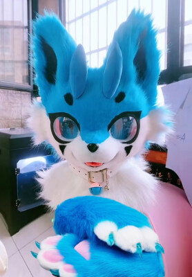 Fursuit Husky Fox Mascot (head + PAWS) Halloween Party Fur Cosplay 93#