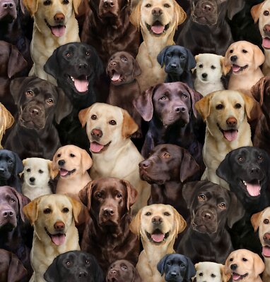 Animal Fabric | Best Friend Labrador Lab Dog | Elizabeth's Studio YARD