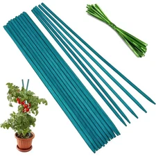 Green Bamboo Plant Stakes for Gardening 18 Inch Supports for Tomato Orchid