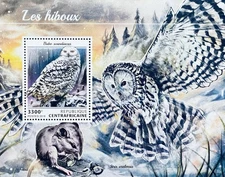 CENTRAL AFRICA OWLS STAMPS SS 2018 MNH SNOWY OWL URAL OWL BIRD WILDLIFE BIRDS