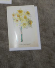Set a 5 Sierra Club, botanical greeting cards blank inside with white envelopes — photo 6