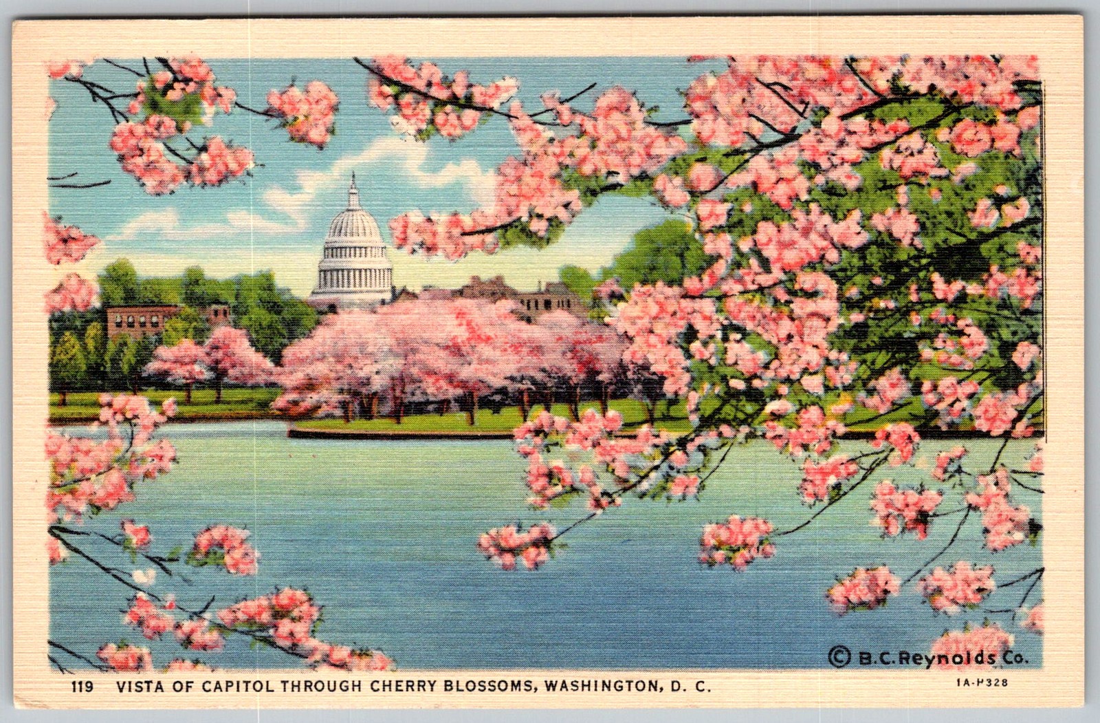 Vtg Linen Postcard Capitol Cherry Blossoms Washington, D.C 1930s