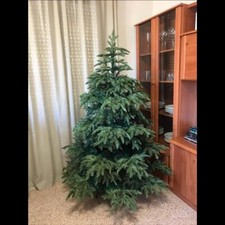dekorative blumenksten Susteelable Wandblumenkasten grn kaufen