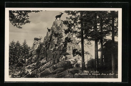 AK St. Gallen, Steinbockfelsen im Wildpark Peter und Paul - Bild 1 von 2