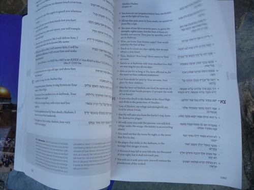 The Israel Bible :Honoring the Land, the People, and the God of Israel Hardcover - Picture 3 of 4