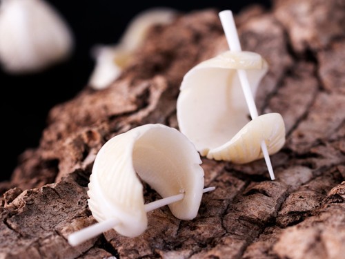 Pendientes cuerno hueso pluma criollos oreja bisutería blanco negro er016 - Imagen 14 de 15