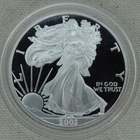 2003-W Proof American Silver Eagle Dollar $1 US Mint Bullion Missing Box & COA