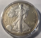 2004 American Silver Eagle | .999 Silver 1 oz Coin, ASE | Gold Enhanced ASE Coin