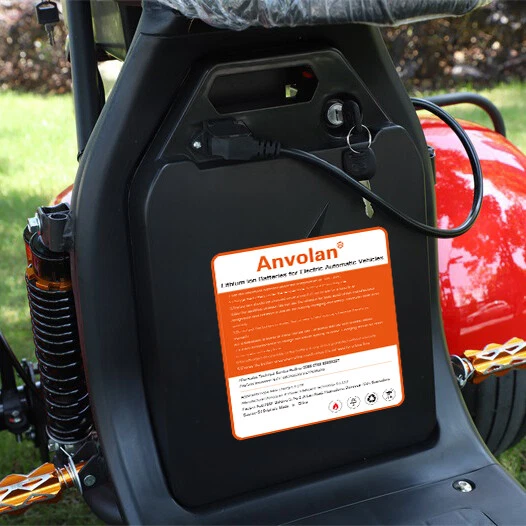 60V 20Ah Lithium-ion Battery BMS for Citycoco E-Scooter E-Bike Bicycle Pedelec - Image 2 of 4