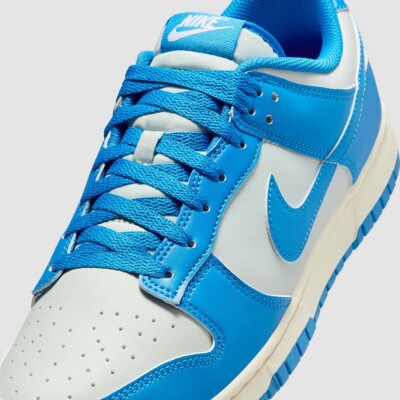 Nike Dunk Low Detroit Lions HF5441-002 Men display picture 1