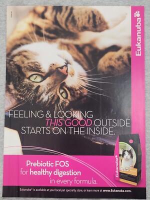 2010 Magazine Advertisement Page Eukanuba Cat Food Kitty Print Ad
