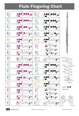 QMG Flute Fingering Chart with Color-Coded Notes, Learn Flute Technique