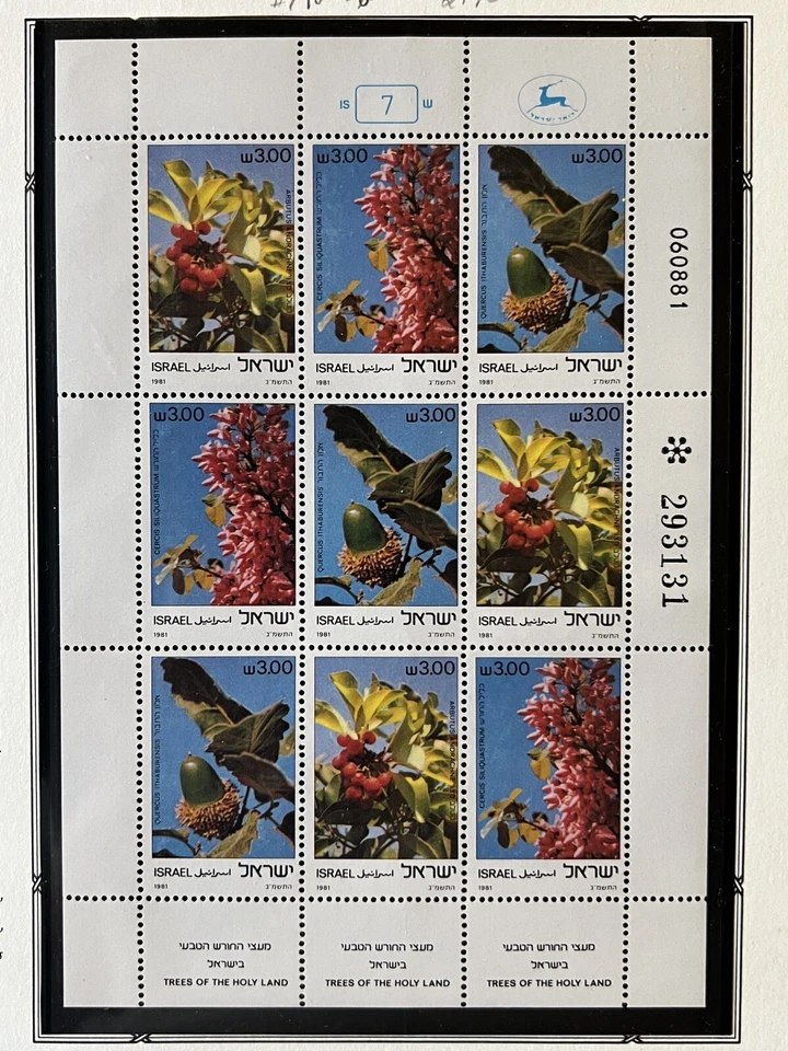 1981 TREES OF ISRAEL MINT MNH OG STAMPS MINI SHEET IN SPECIAL ALBUM PAGE - Image 2 of 2