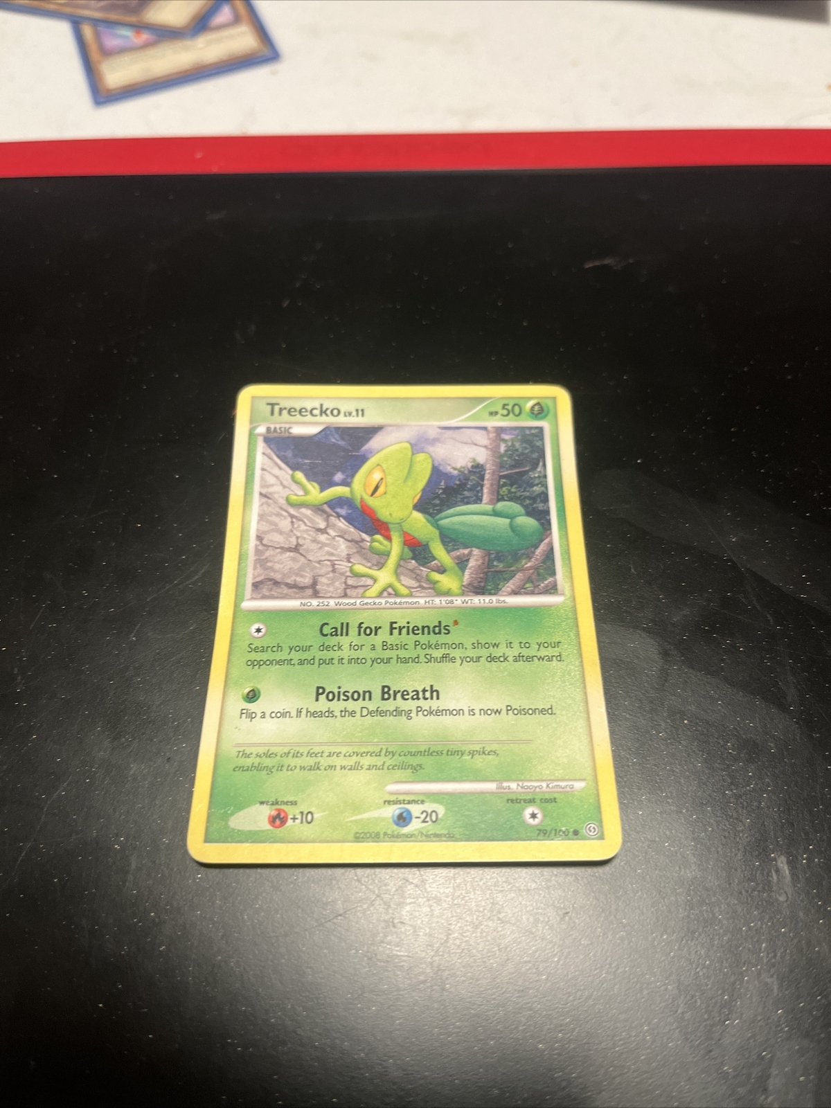Treecko 79/100 Stormfront Pokémon TCG Diamond Pearl Common Trading Card 2008